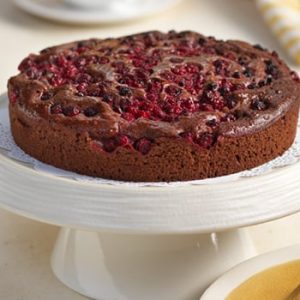 Schoko-Ribisel-Kuchen